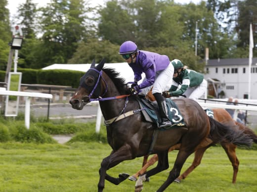 Länk till stallsnack samt Hellgren inför Övrevoll 6 november