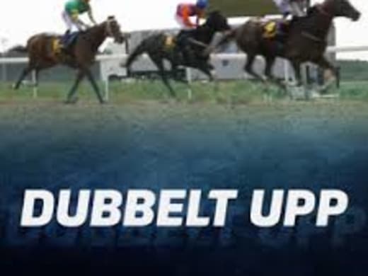 Vad tror Erik och Julle i veckans avsnitt av Dubbelt Upp!?