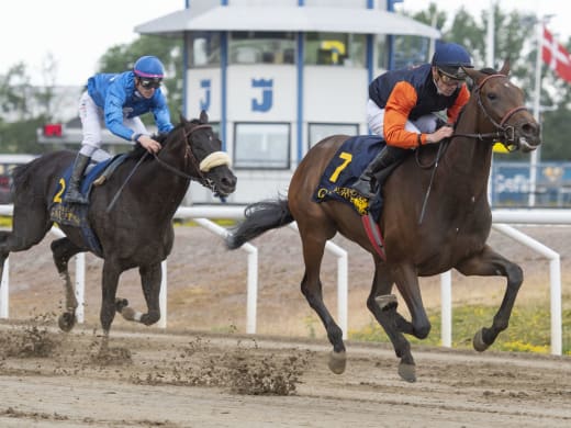 Startfältet i Svenskt Derby 2021