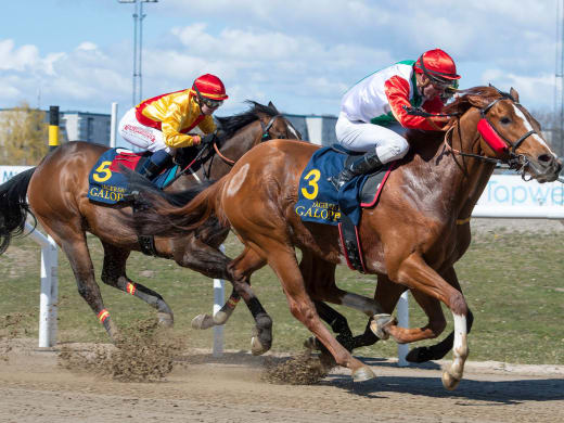 Tränarintervjuer 23/5 – V64 med Pramms Memorial (L) på Jägersro Galopp