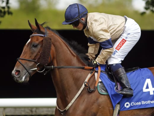 Internationella toppjockeys på besök