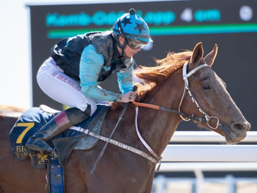 Hört från tränare inför Bro Parks fina storloppsdag