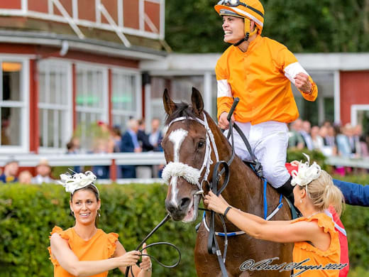 Det här är hästarna i Breeders' Trophy-loppen