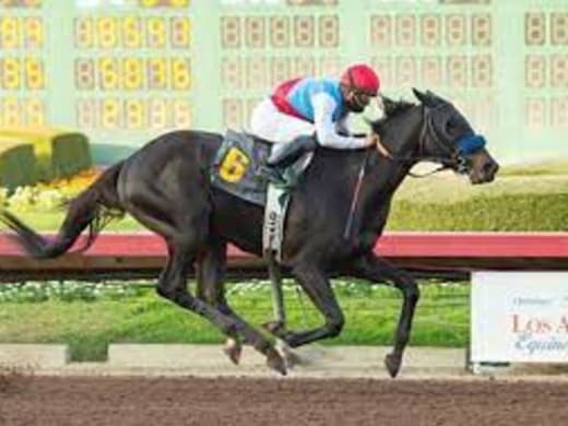 Topplopp i USA - 1000 dollars häst i favoritposition!