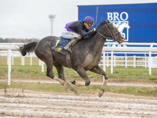 Stallsnack – Bro Park 8 maj