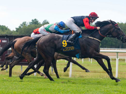 Stallsnack – Göteborg Galopp 15 maj