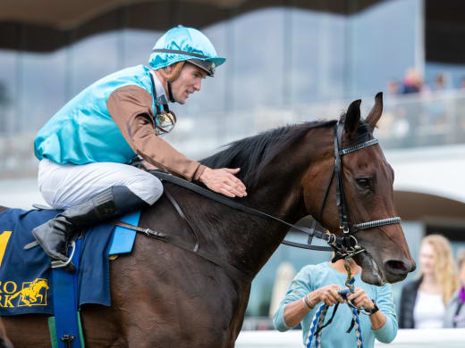 Good Fortune jagar revansch – Sören Jensen om sina chanser på Bro Park