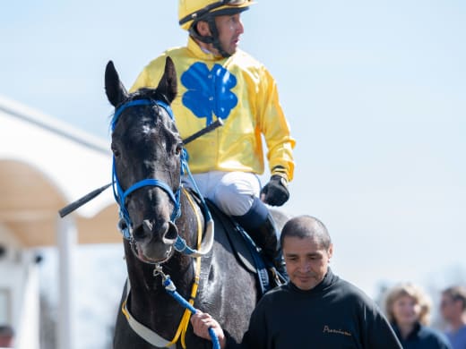 Stallsnack – Bro Park 19 juni