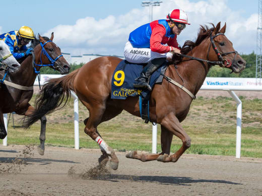 Stallsnack – Jägersro Galopp 15 juni
