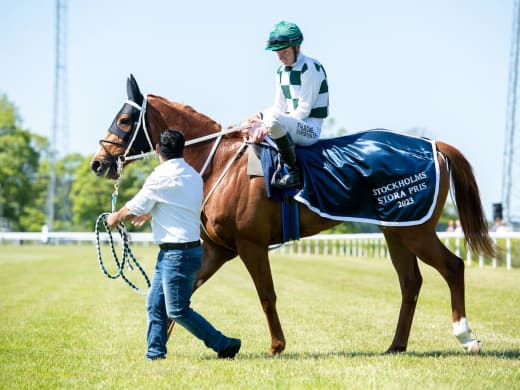 Årets första storloppsdag på Bro Park