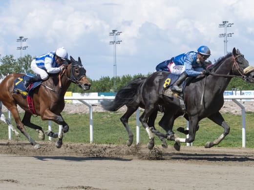 Stallsnack Jägerso Galopp 14 juli