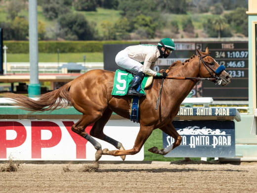 American Pharoahs halvbror i debutvinst