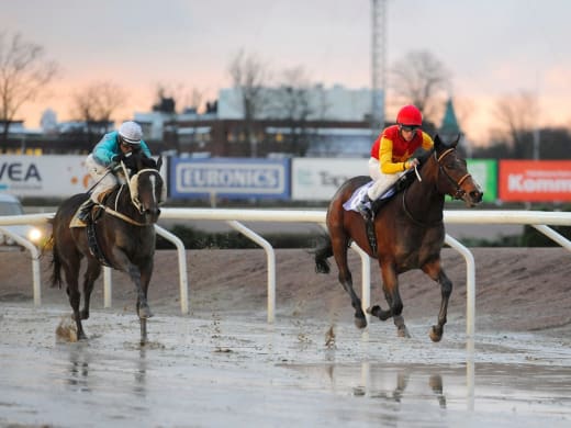 Inställt på Jägersro Galopp