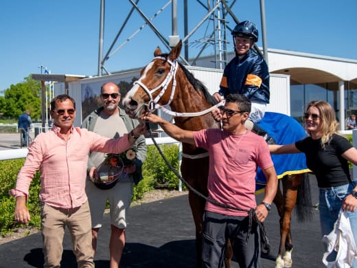 Om Little Arabella och andra intressanta starthästar från Stall Wahl