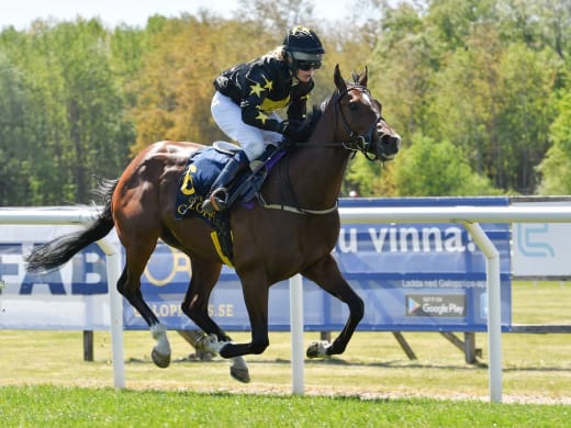 Tränarintervjuer 25/7 – söndagsgalopp på Bro Park