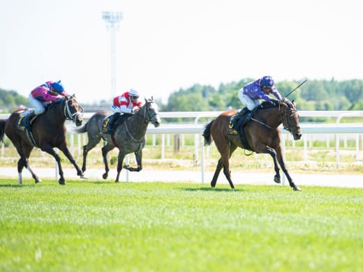 Stallsnack – Bro Park 12 juni