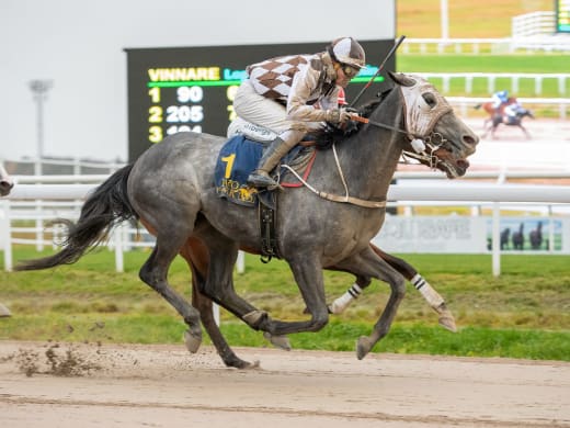 Tränarintervjuer 10/11 – lunchgalopp på Bro Park