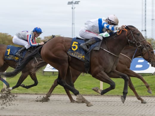 Om Petersens tre GS75-favoriter