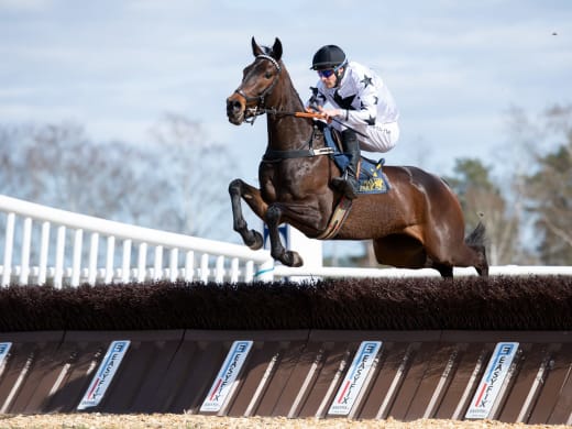 Hästarna i Svenskt Champion Hurdle