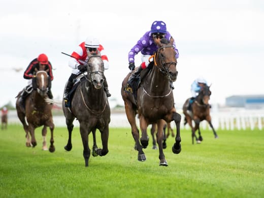 Startfältet i Lelles Legacy – Swedish Open Mile (L)
