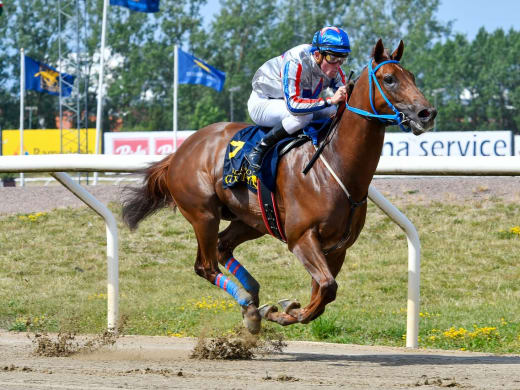 I Kirk skadad – missar Jägersro Sprint (L)