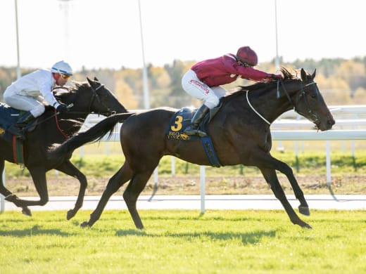 Stallsnack – Bro Park 18 maj