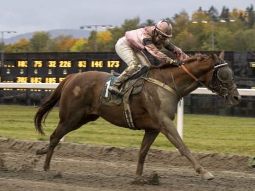 Tips till Övrevoll 14/11