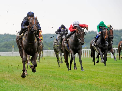 Banans status i Göteborg