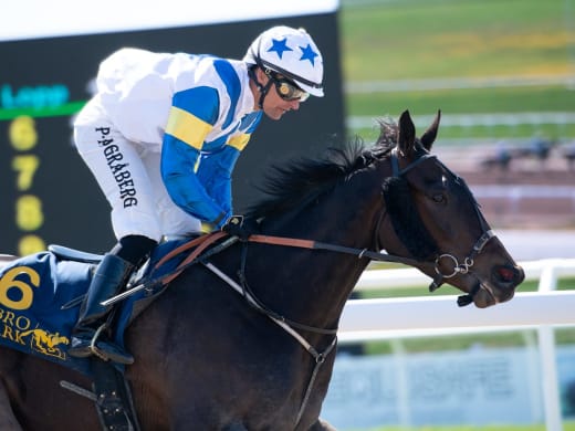 Stallsnack inför kvällstävlingarna på Bro Park