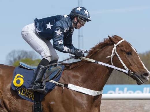 Två framtidshopp förväntas duellera i Jägersro Sprint