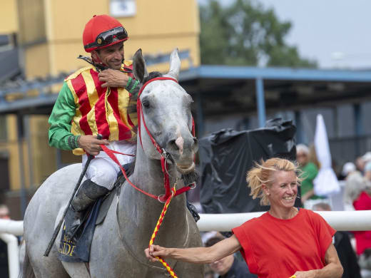 Hört från aktiva inför Jägersro Galopp på fredag kväll