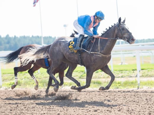 Tränarintervjuer 18/4 – dags för söndagstävlingar på Bro Park