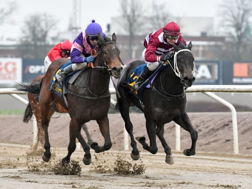 Tränarintervjuer 11/8 – onsdagslunch på Jägersro Galopp