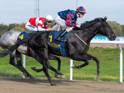 Det här är hästarna i Pramms Memorial och Jägersro Sprint