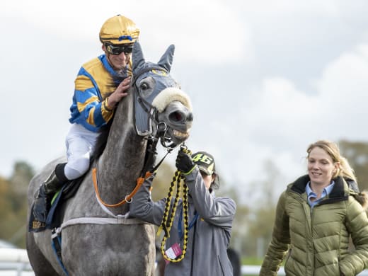 Annika Sjökvist om Miss Maybach samt övriga starthästar