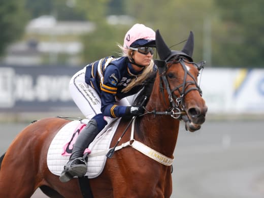 Tips till travloppen på Gärdet