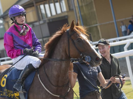Stallsnack till Jägersro Galopps lunchtävlingar