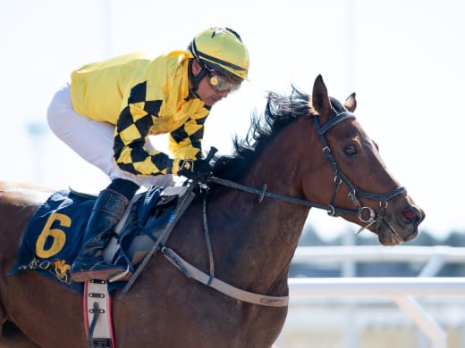 Stallsnack inför onsdagslunchen på Bro Park
