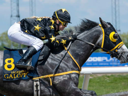 Tränarintervjuer 3/11 – onsdagslunch på Jägersro Galopp