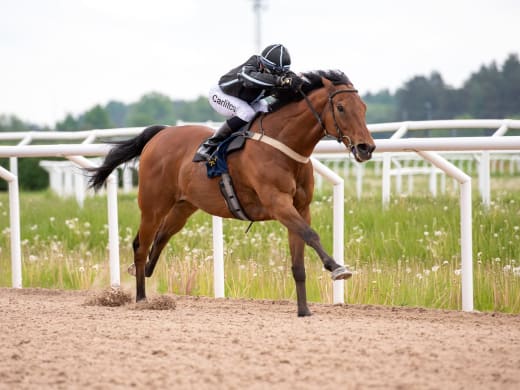 Stallsnack inför Bro Parks onsdagslunch