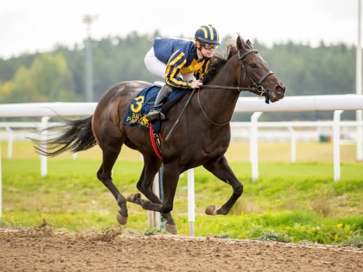 Stallsnack – Bro Park 27 april