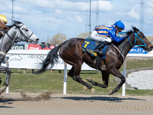 Tränarintervjuer 17/11 – lunchtävlingar och finaldag på Jägersro Galopp