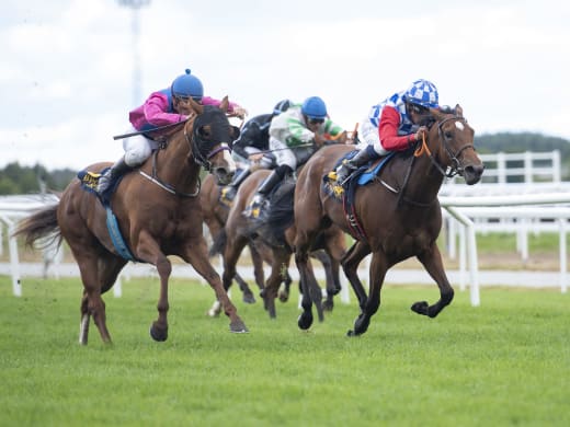 Niels Petersen om sina "feta" vinstchanser