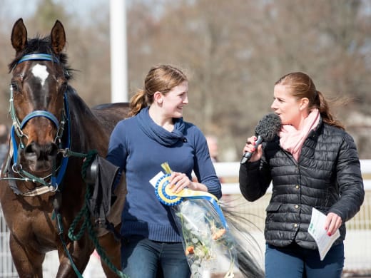 Intressanta ston från Jensen och Ohlson på Jägersro Galopp
