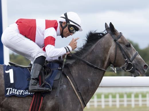 Om Duca di Como, Master Bloom och Tinolo