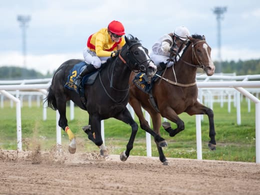 Stallsnack – Jägersro Galopp 2 november