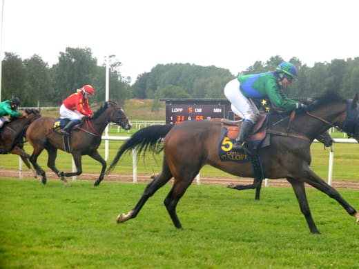 Stallsnack inför söndagens jackpotdag på Göteborg Galopp