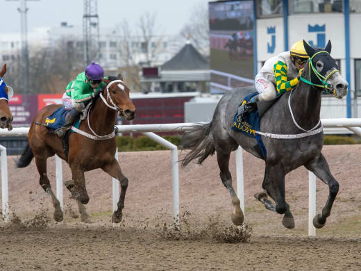 Ramallo och Rasmusson om sina högintressanta hästar på Jägersro Galopp