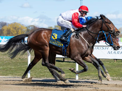 Treåringarna visar upp sig på Jägersro