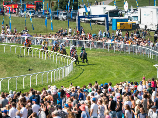 Härlig gräsbana på Gärdet inför Nationaldagsgaloppen
